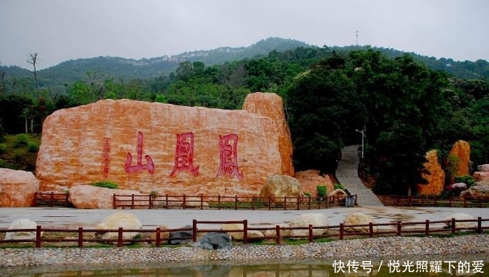 中国最“残忍”的景区!他们所谓的放生,反而造就了水族的“炼狱