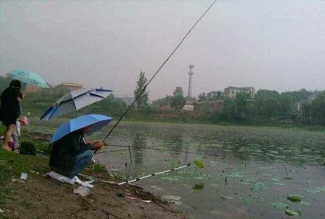  【夏季】夏季雨天钓鱼，切记这几种情况不宜出钓！