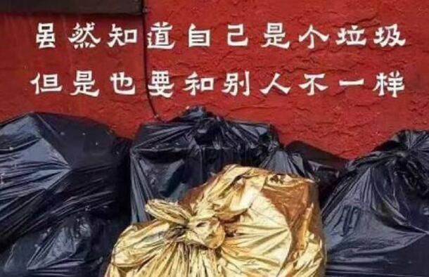  兄弟■搞笑趣图：失散多年的兄弟终于重逢了