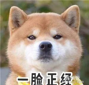 『方头』潮流范 | 不方不时髦!“铲刀”似的新款方头鞋谁穿谁高级