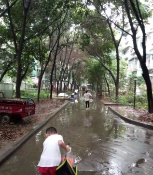 四川一夜雨，成都一小区里看河