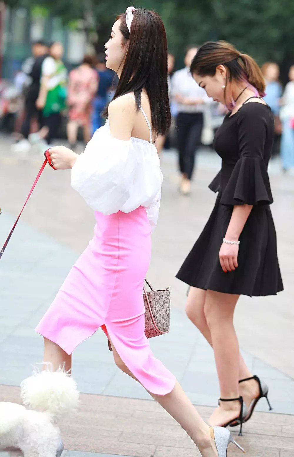 街拍美女和她的小宠物狗