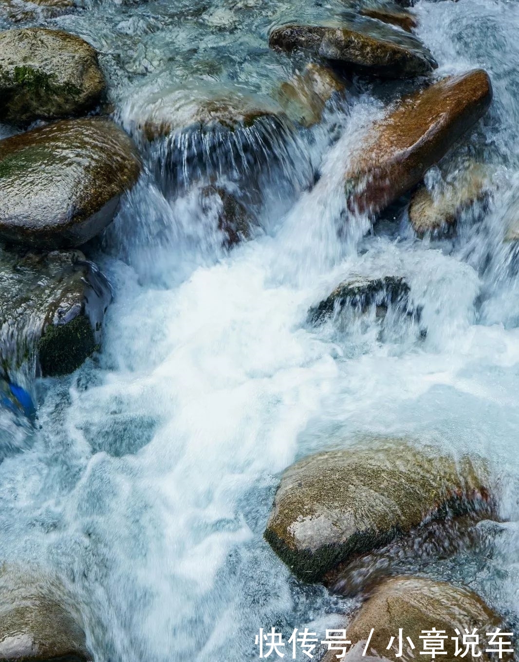 峨眉山，被低估了的四川避暑王者！