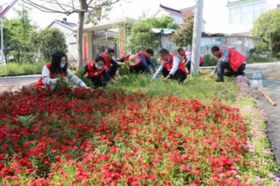  【力提升】南京溧水晶桥镇：党建引领 人居环境大变样