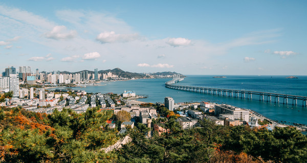 中国广场数量最多的城市,现有102座广场,被誉为北方明珠