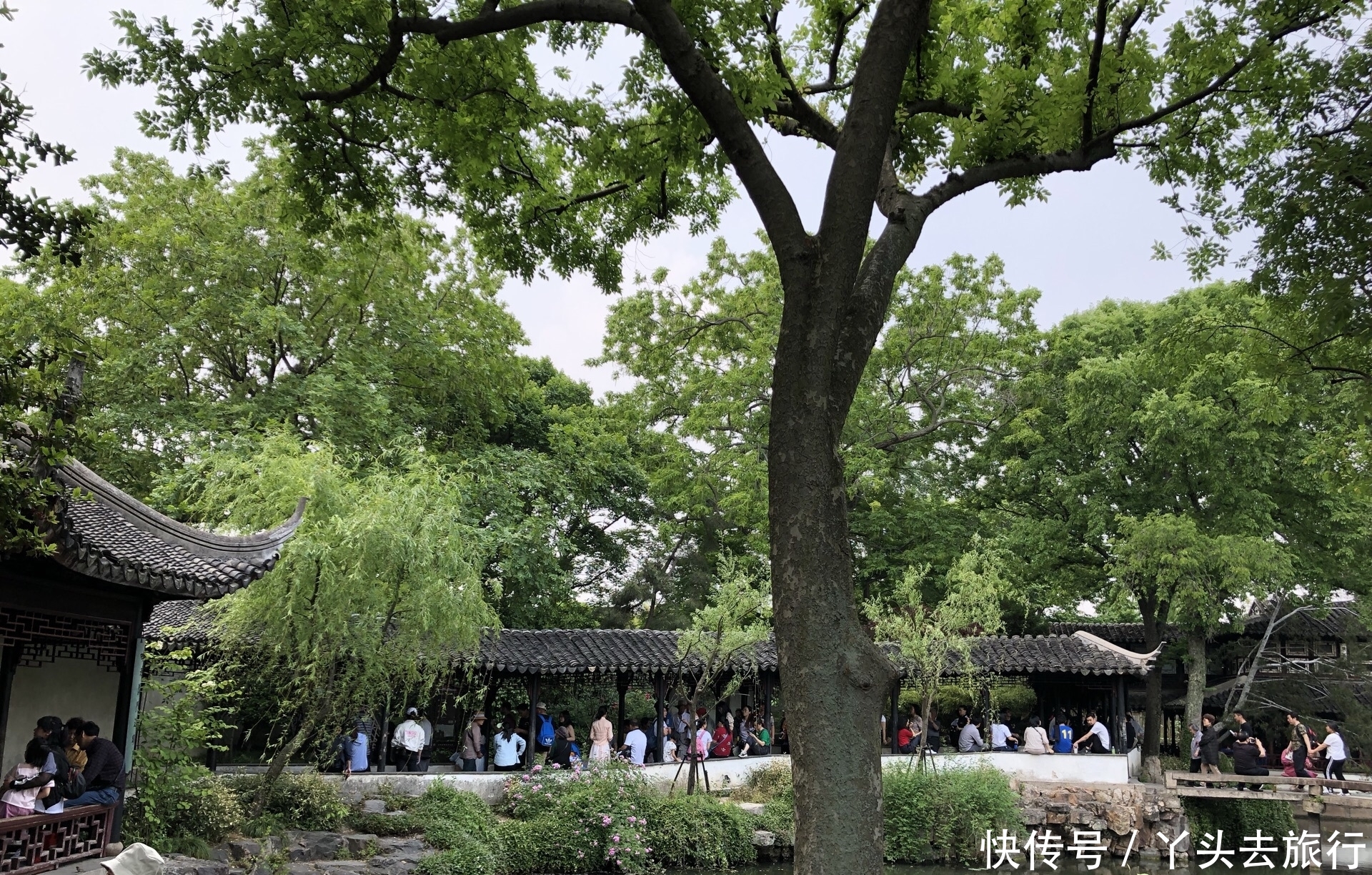 中国有四大名园，一座在北京，一座在河北，还有两座在苏州