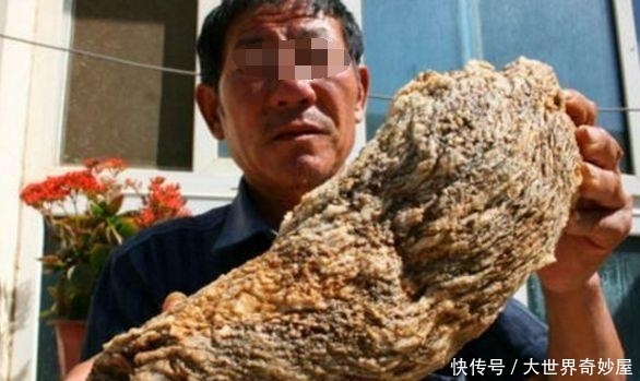 农民山上捡到宝，500万都不卖嫌出价低，据传秦始皇找了一辈子！