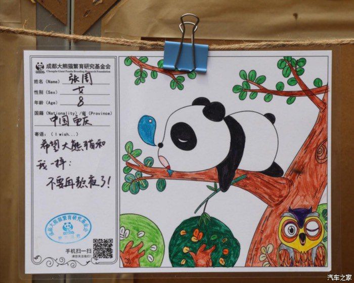 四川成都的熊猫基地介绍