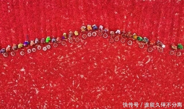 谁，是世界上最可爱的人？看了这组照片你就明白了