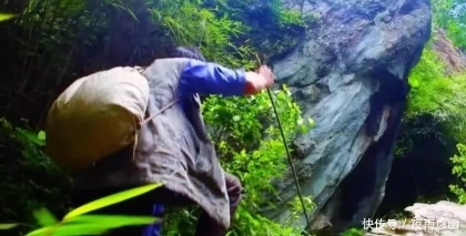  【葫芦】这种野生物，多年前就出现在大地，价值好高，极为稀罕