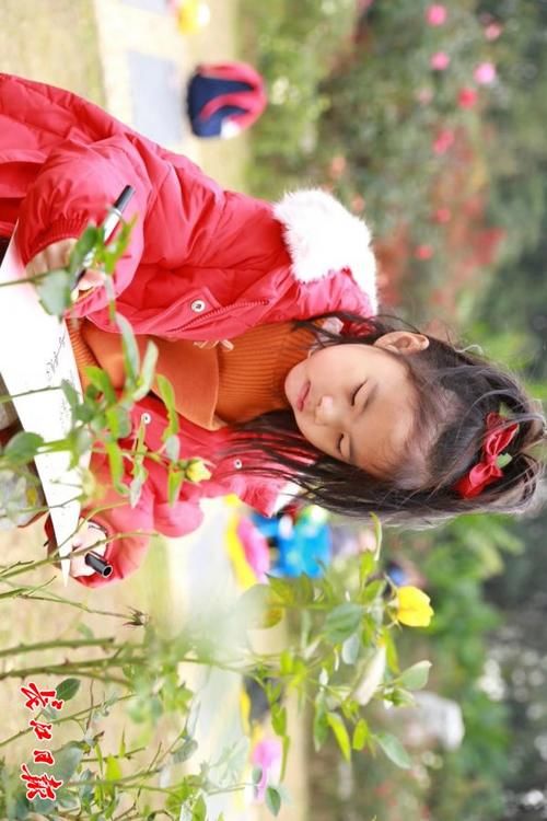 拍过很多地方,最后发现拍来拍去还是东湖最美