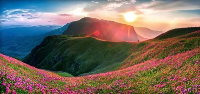 今年夏天,贵州突如其来地火了!