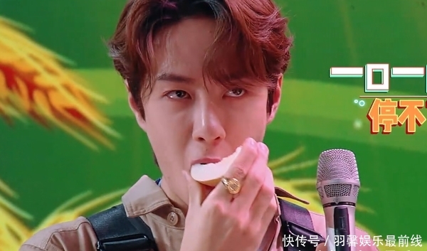 汪涵为什么留下王一博