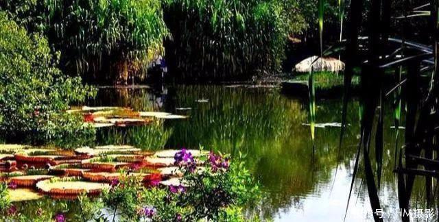 中国值得一去5座避寒城市推荐,一个比一个温暖,你想去哪个呢