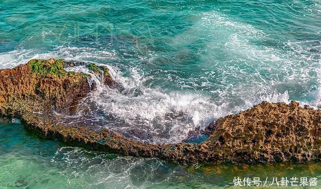 『乐园』在幽蓝的加勒比海边游神秘乐园(被疫情撞了腰的墨西哥行程05)