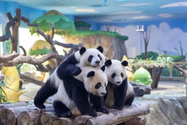 距离中秋还有55天！2019年中秋节放假安排早就出炉啦