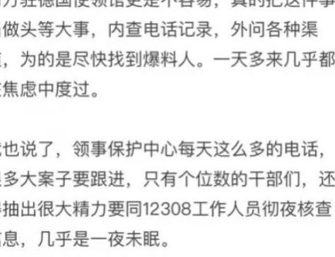 造谣惊动大使馆的北美吐槽君被封,网友却说:罚轻了