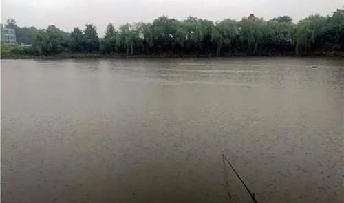  [适合钓鱼]春季钓鱼，为啥下雨天鱼最好钓？原来有这么多讲究！