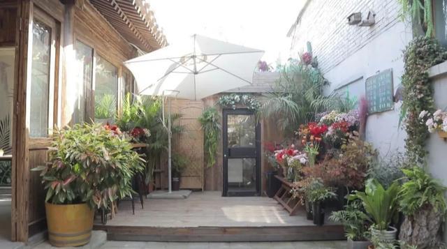 藏在北京小院里的悠闲小时光,生活原来可以这么惬意