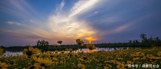  济南■山东最大的城市，就算济南吞并莱芜也不敌，还相当于2个烟