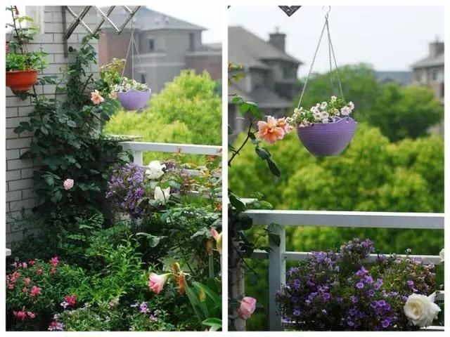 『花儿』屋顶造一个清新居家“小花园”,一起看花儿沐浴阳光雨露