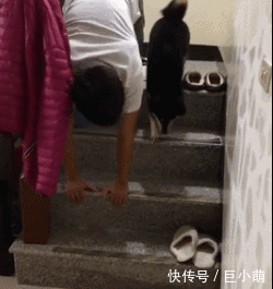  「地上」狗狗不敢爬楼梯，主人跪地上教它！这种示范真的有用吗？
