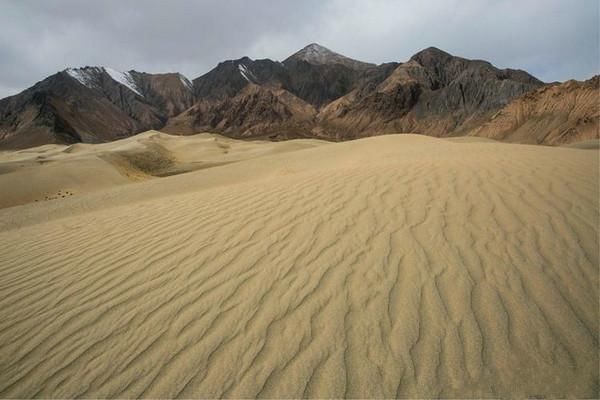 可可西里无人区  盐湖沙漠雅丹雪山湖泊草原原始风貌生机盎然
