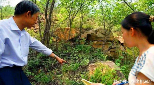 农村这种野草比辣椒还辣，曾被当做杂草，却不知是酒曲的原料！