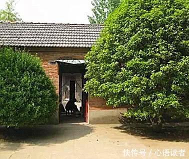 门前不栽竹，屋后不栽树，农村过去的老话，到底有没有道理呢？