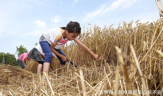  电费■你叫我拿什么去种地？不打工连电费都交不起，更别说子女