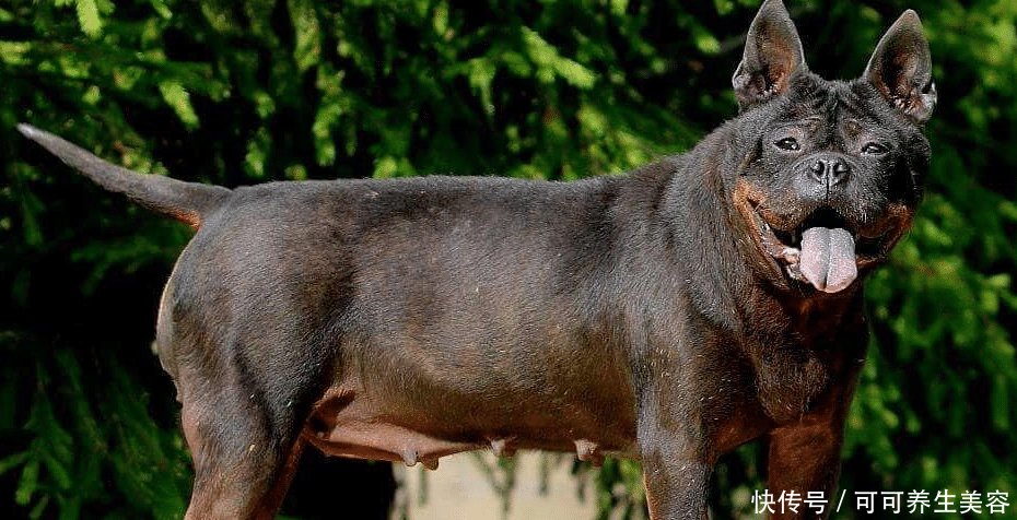 t0124b545622fd78f0c.jpg?size=930x476