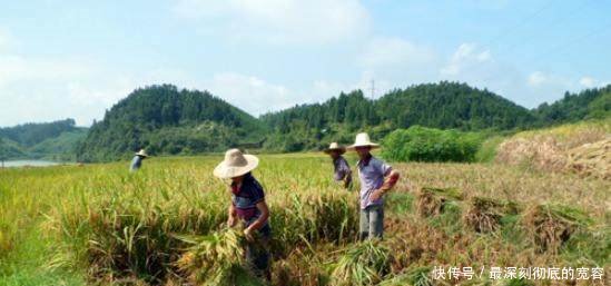 别把农村想得那么好，大部分城里人在农村根本就活不下去！