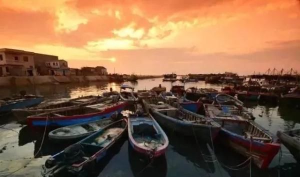 三亚渔民抓到一条鱼，有人出价92888元！它稀奇在哪？