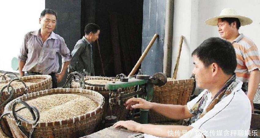  公粮|老农交的公粮能转换成社保吗？现在有答案了，听听专家的解