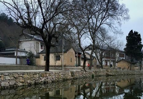  【确权】宅基地上闲置住宅，可以强制拆除？你家的宅基地，你真