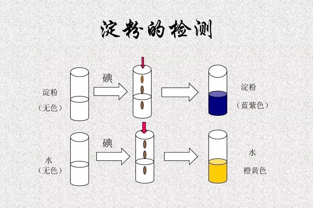 碘溶液:神奇的科学小实验,紫晶不用买,只要糖!
