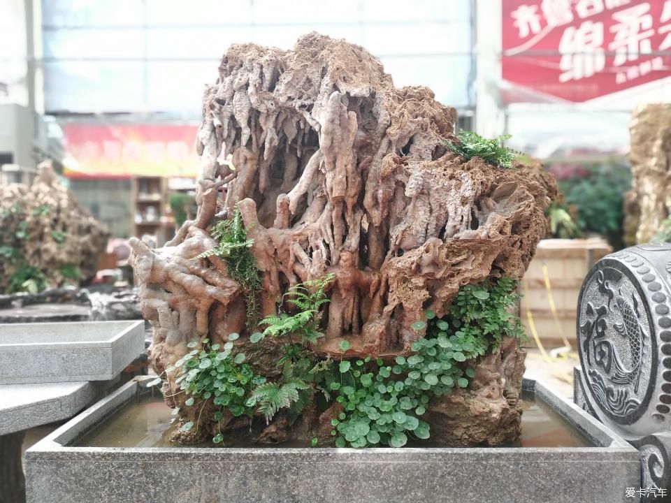  『色彩纷呈』【4月，你好】花花世界 色彩纷呈 赏心悦目