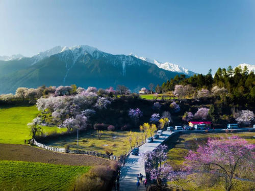 世外桃源般的旷世美景，藏着中国最美的春天