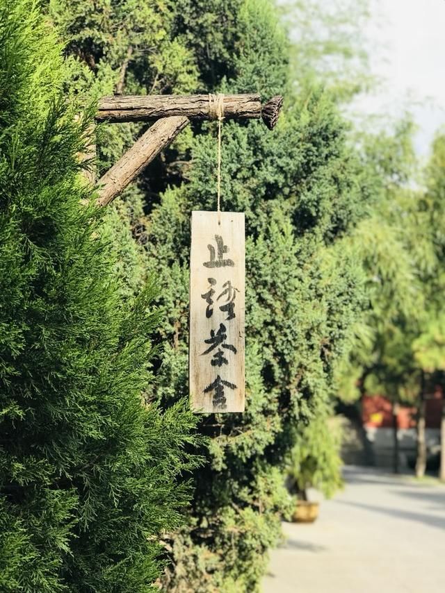 千年古刹～洛阳白马寺