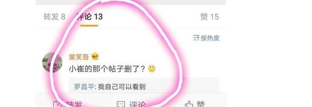 知名财经大V罗昌平曝出猛料，范冰冰公司员工遭警方拘押