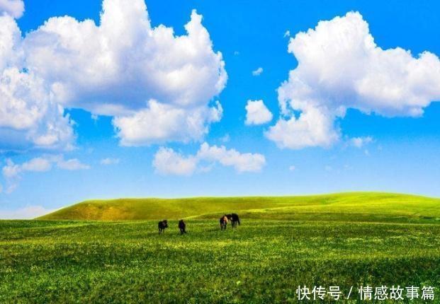 我国这个地方，蒙古国人越来越多，而他们表示中蒙差距有点大！