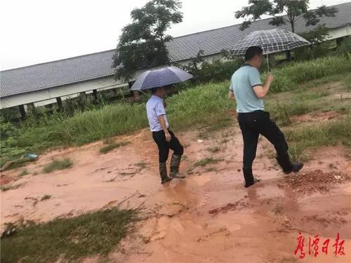 余江对中央环保督察组转办春涛镇某猪场污染居