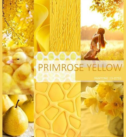 华为nova 3樱草金潮爆今夏,打响醒目亮色PK战