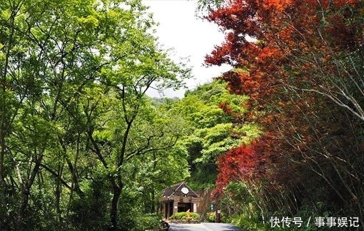 见晴古道 宜兰太平山特殊自然玩法让你玩的开心 快资讯