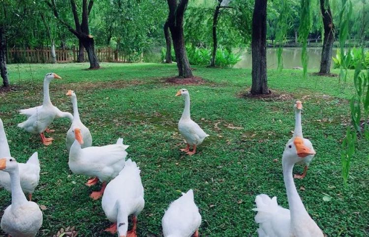 拒绝人多从众:在街巷漫步中感受秋日南京的美!