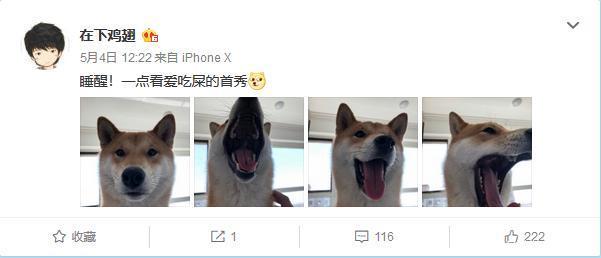 虎牙DNF鸡翅:胜哥放心飞 鸡翅永相随