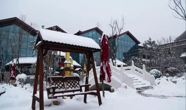 初冬已至，降温来袭 | 陕西这些地方已经下雪啦！想看雪景的走起