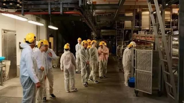 4000万猪农危机了!全球最大猪企杀入中国，这种打法让大家服了