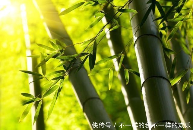 「内心」“精神长相”,会让人优雅芬芳