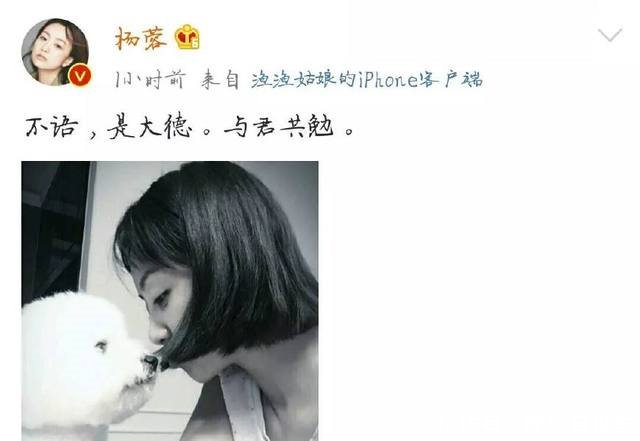 半个娱乐圈都在推荐凤求凰，杨蓉微博九个字回应让人心酸
